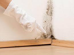 Best Attic Mold Removal  in Leominster, MA